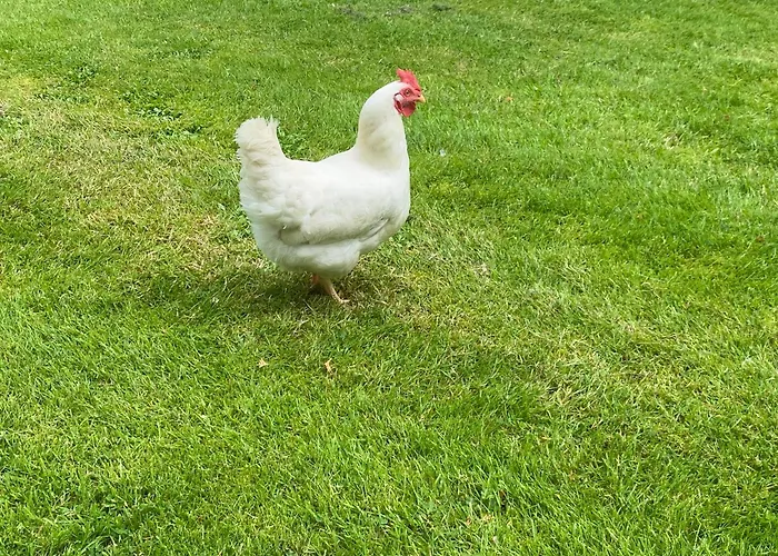 Rooghaun House Ard Raithin